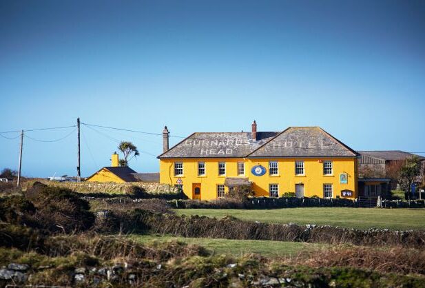 gurnards-head©Paul Massey