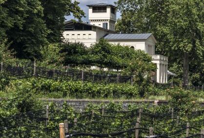 weingut-villa-jacobs-potsdam