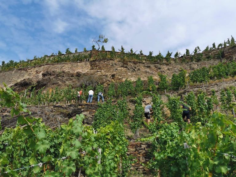 next-generation next-generation