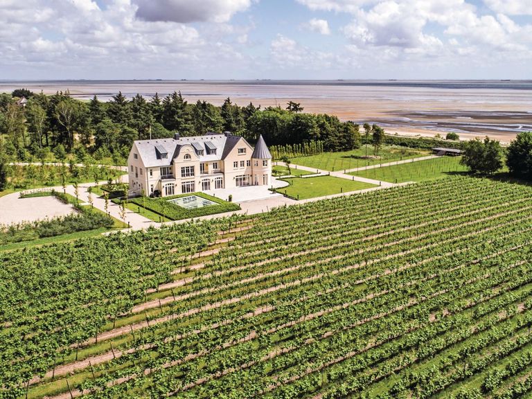 Die Reben des Weinguts Waalem auf der Nordseeinsel Föhr bekommen ständig gute Meeresluft – die Weine zeugen davon. Weingut Waalem an der Küste
