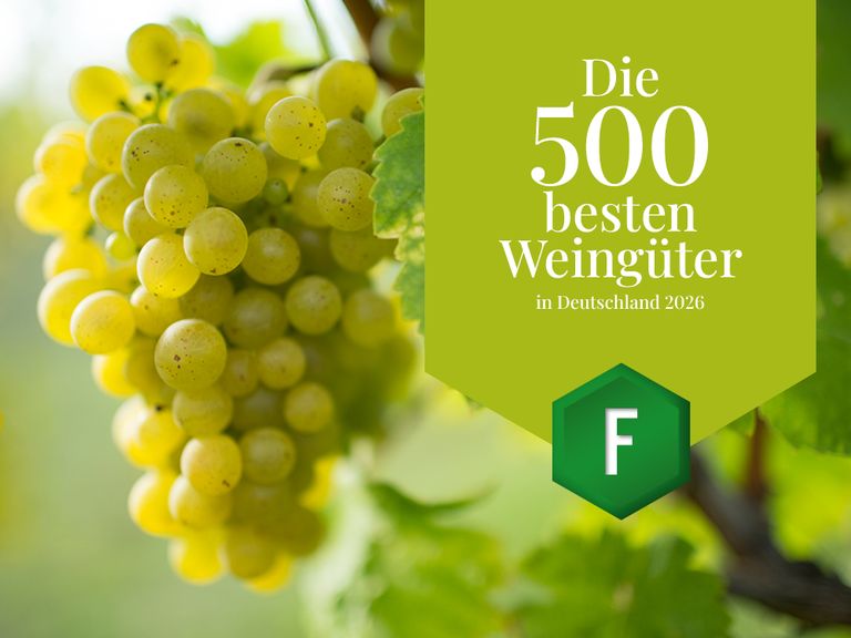 Die besten Weingüter in Deutschland die-besten-weingueter-in-deutschland