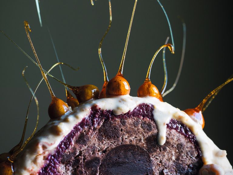 Rezept für Eisbombe mit karamellisierten Haselnüssen Eisbombe