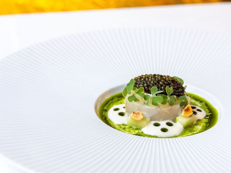 2024-KVB-ALAAF-Bothur-27