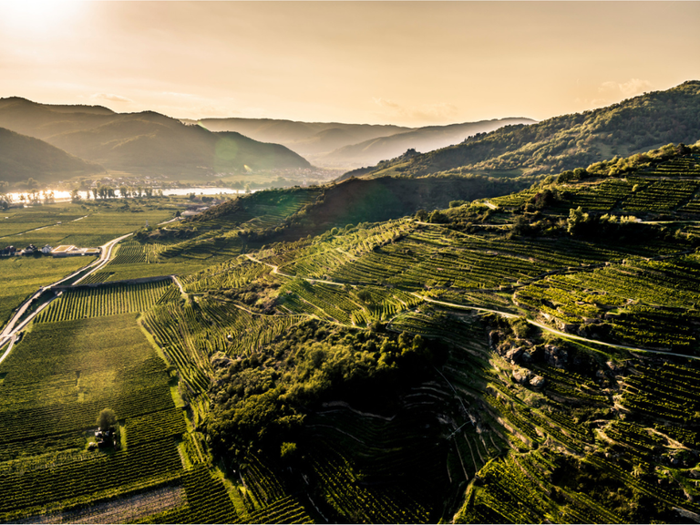 Wachau und Kamptal