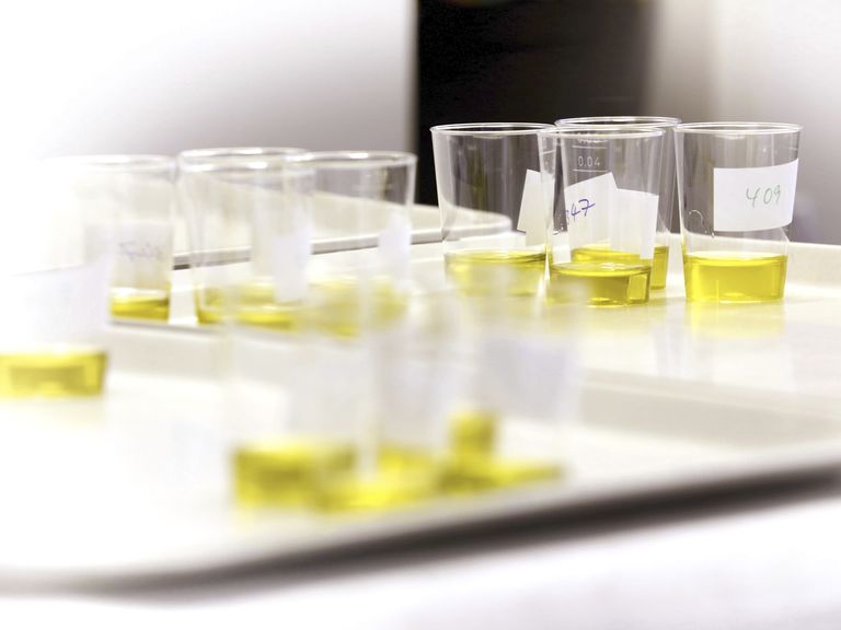Verschiedene Olivenöle zum Testen in Plastikbechern Olivenöl testen