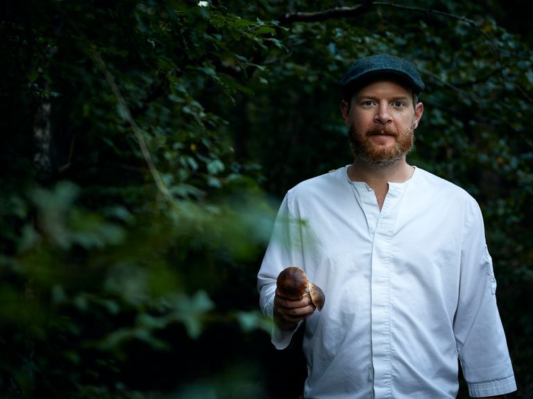 Felix Schneider fühlt sich im Wald zu Hause Felix Schneider aus dem Etz in Nürnberg