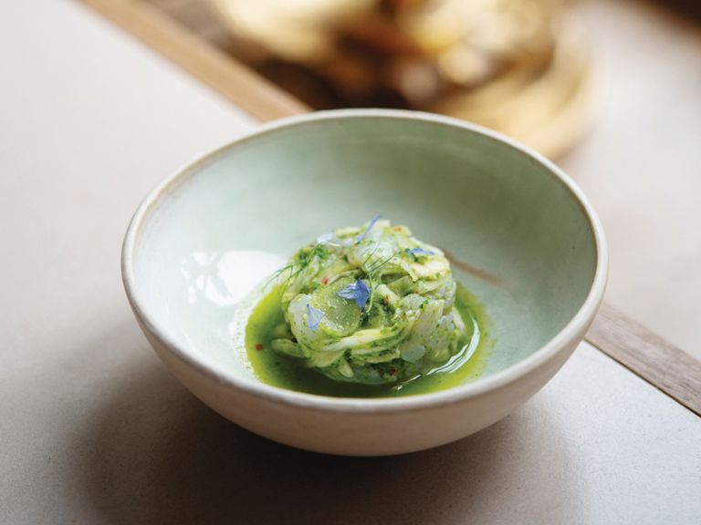 zander-tatar-gebeizt-in-ceviche-marinade-frischem-fenchel-und-fenchelgruen