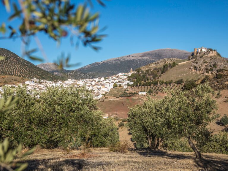 Der Feinschmecker- Olivenölproduktion- Andalusien- Reportage Kersten Wetenkamp20171109Andalusien0640