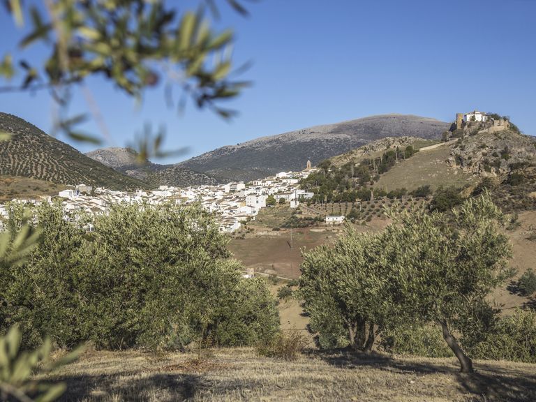 Der Feinschmecker- Olivenölproduktion- Andalusien- Reportage Kersten Wetenkamp20171109Andalusien0640