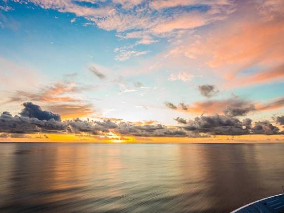 Newsletter abonnieren Hapag Lloyd_Newsletter
