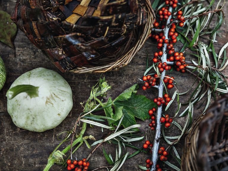 Feinschmecker-René-Redzepi-2020-7
