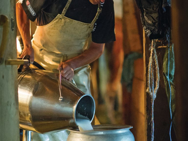 kaeseproduktion-stanglwirt