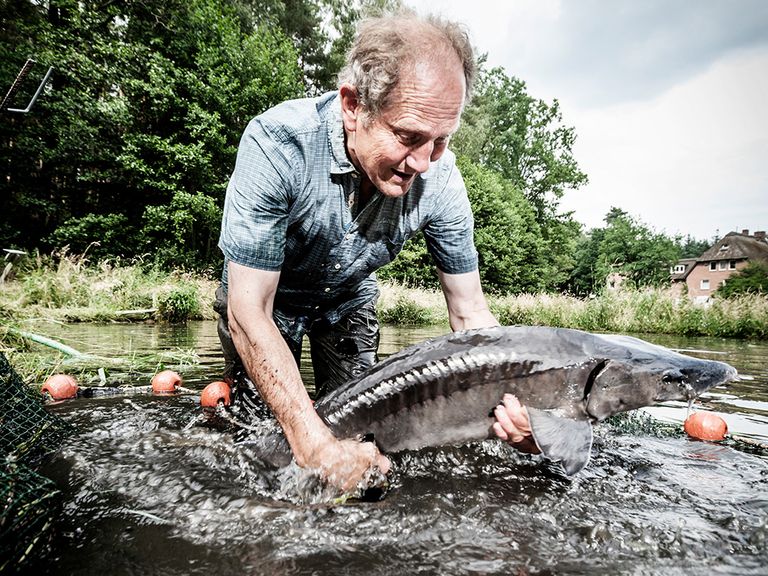 Hermann Benecke züchtet in Jelmstorf Fisch in Bioqualität
 hermann-benecke