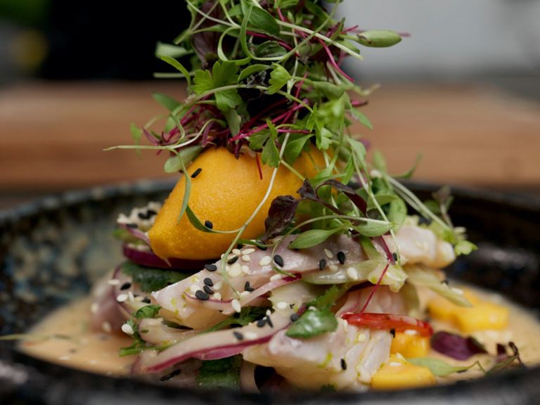 Ceviche von weißen Fischen mit Mango-Chilisorbet und Koriander ceviche-von-weißen-fischen-mit-mango-chilisorbet-und-koriander