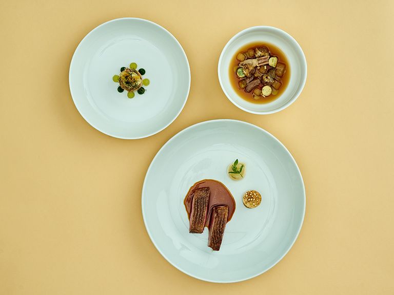 peking-ente-im-restaurant-tim-raue