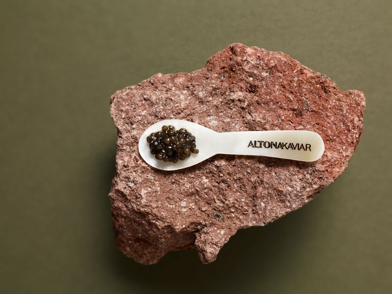 Welcher Kaviar der beste ist? Der, der dir schmeckt. 
#lassdassalzwegnimmkaviar Altona Kaviar Löffel AKI