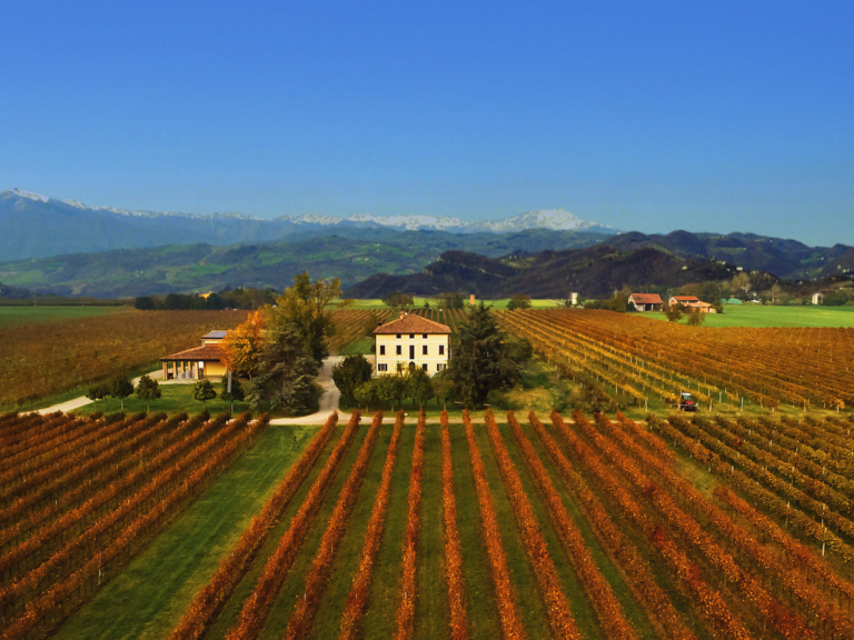 familienweingut-medici-ermete