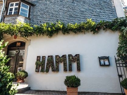 Das Weingut Hamm ist ein Kreuzgewölbe, das selbst für den Rheingau außergewöhnlich ist weingut-hamm