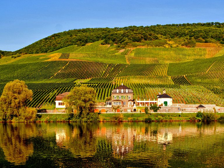 01 Weingut Dr Loosen (1) 01 Weingut Dr Loosen (1)