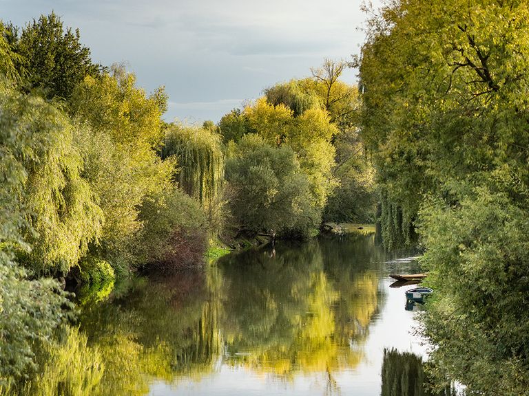 Der Fluss Ill