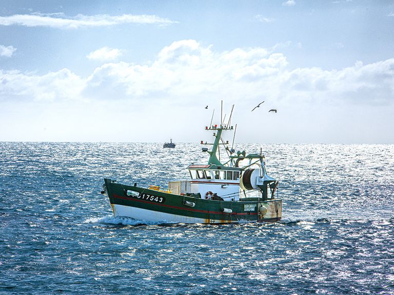 Harte Arbeit auf glitzerndem Meer: An der bretonischen Südwestküste sind noch etwa 260 Schaluppen und Kutter unterwegs Lebensgrundlage für 600 Fischer. Kutter auf der bretonischen Südwestküste