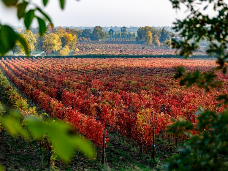 Emilia Romagna Emilia Romagna