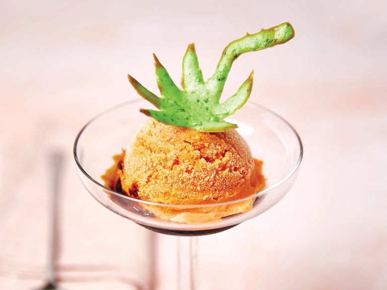 Tomaten-Eis mit Olivenöl und Zitronenverbene, grüner Blatthippe mit Basilikum tomateneis-mit-olivenoel-und-zitronenverbene-gruener-blatthippe-mit-basilikum