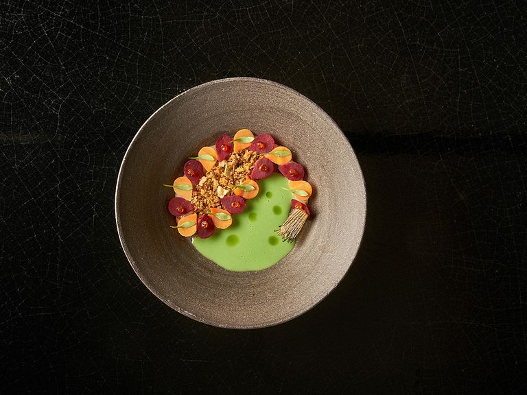 neue-karotten-quellforelle-tagetes-im-rutz