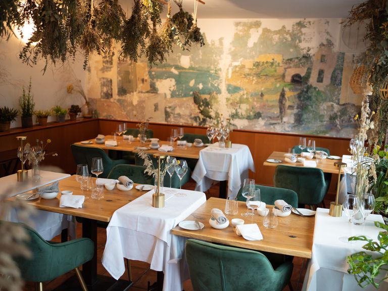 Adriatic Seven Adriatic Seven