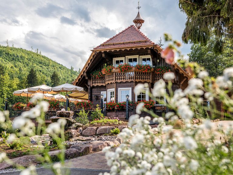 Au&szlig;enaufnahme Forellenhof Buhlbach im Sommer