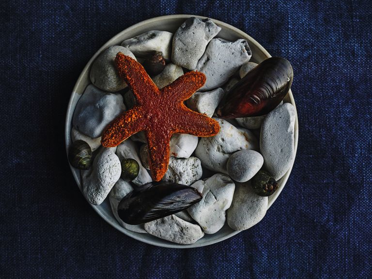 Feinschmecker-René-Redzepi-2020-3