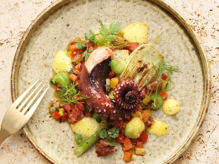 Felsenoktopus mt Salsiccia und geschmorten Fenchel. felsenoktopus-saisonkueche