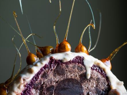Eisbombe