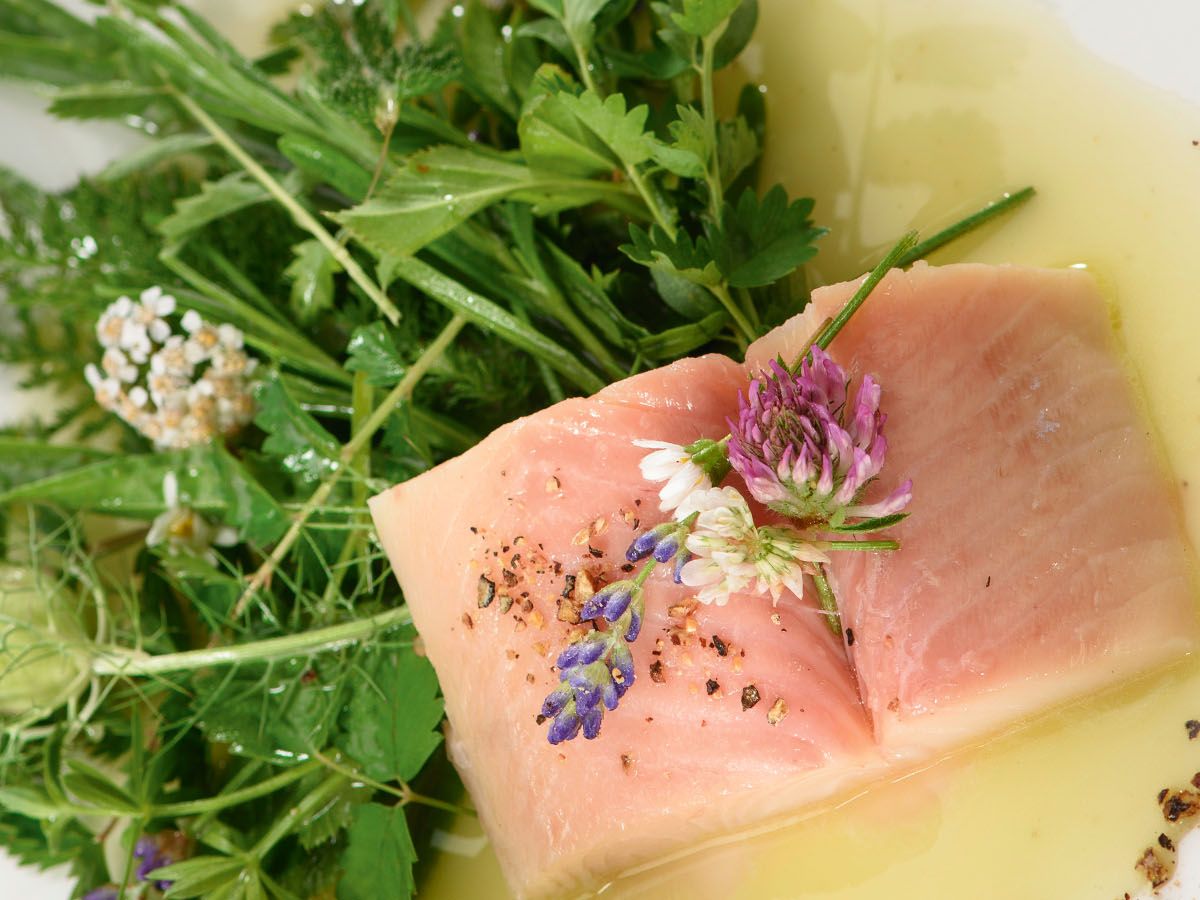 forelle-mit-wiesensalat forelle-mit-wiesensalat