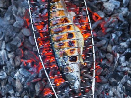 gegrillte-makrele-1