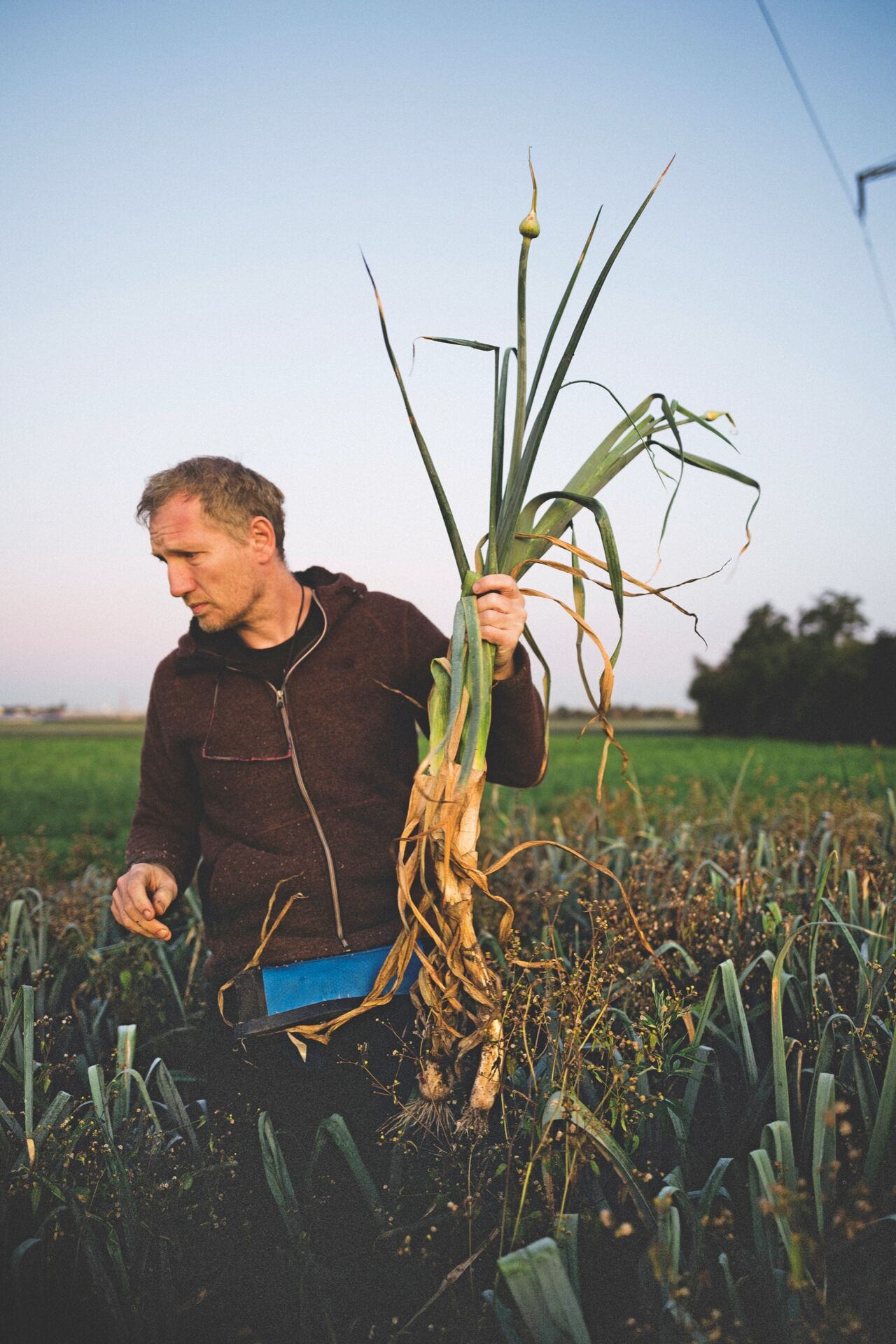 Andree Köthe_Essigbrätlein