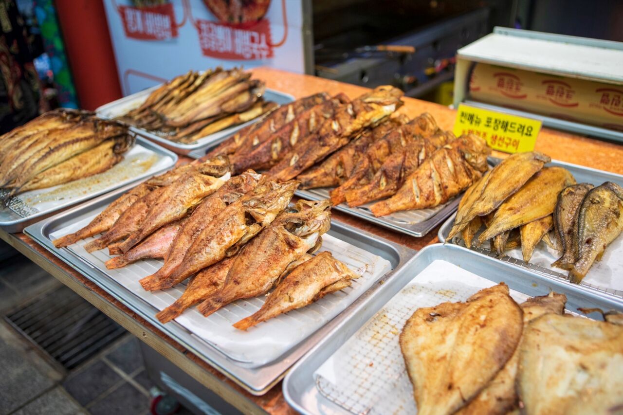 Sokcho Tourist _ Fishery Market