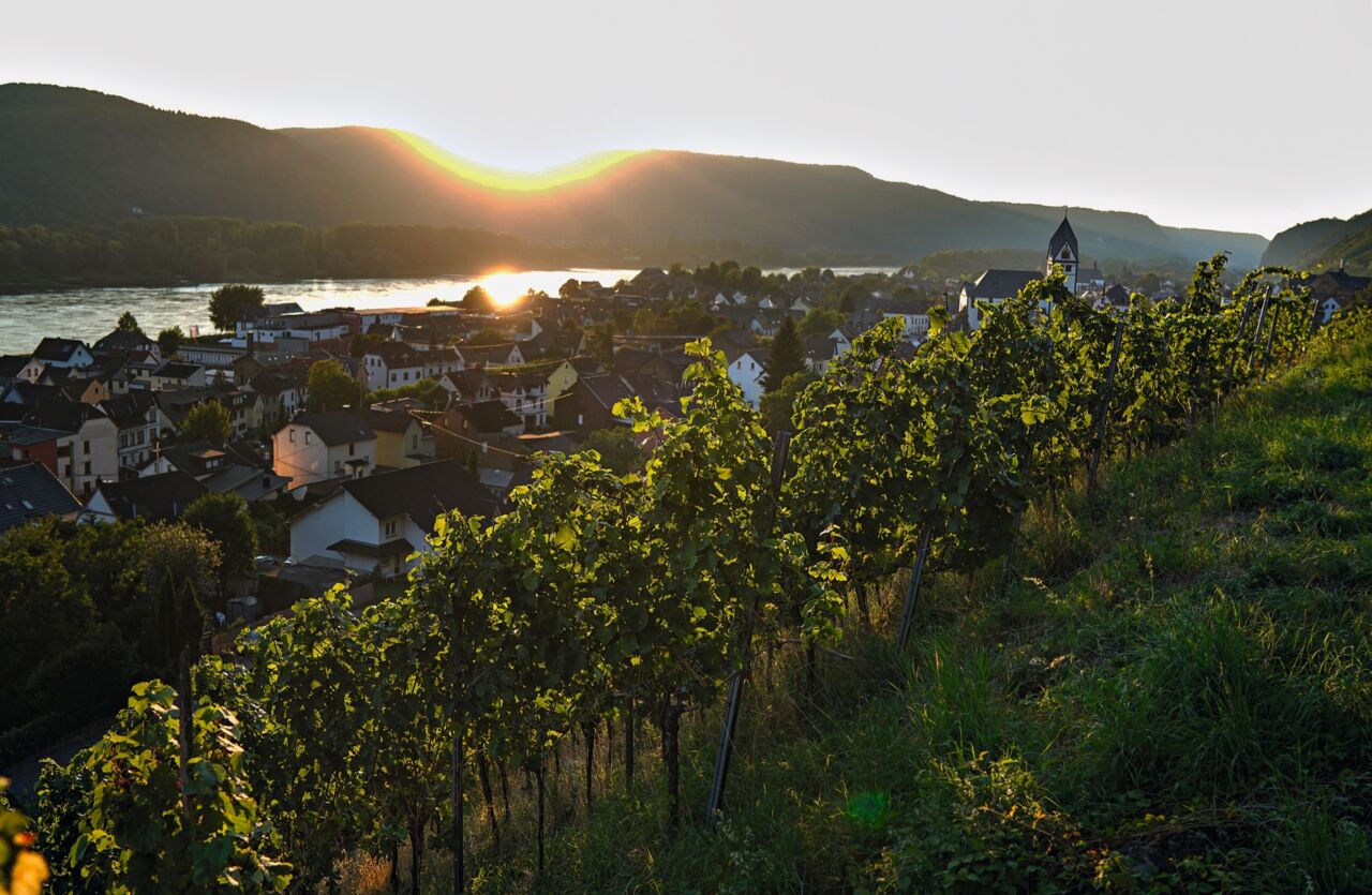 Weingut von Sarah Hulten