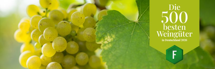 Beste Weingüter_2026_online_Banner