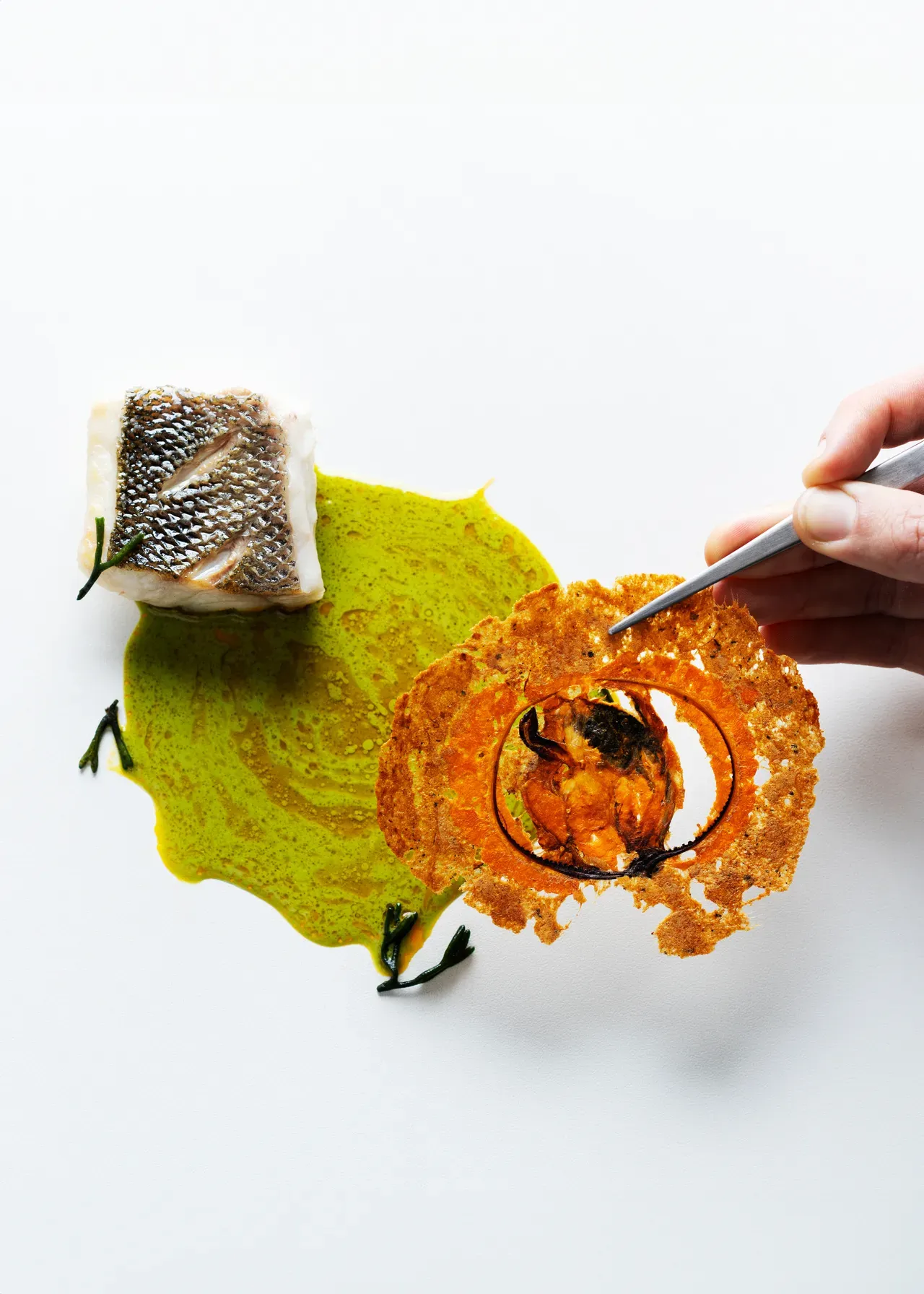 Wolfsbarsch und gr&uuml;ne Mollusken-Sauce im Arzak, San Sebasti&aacute;n