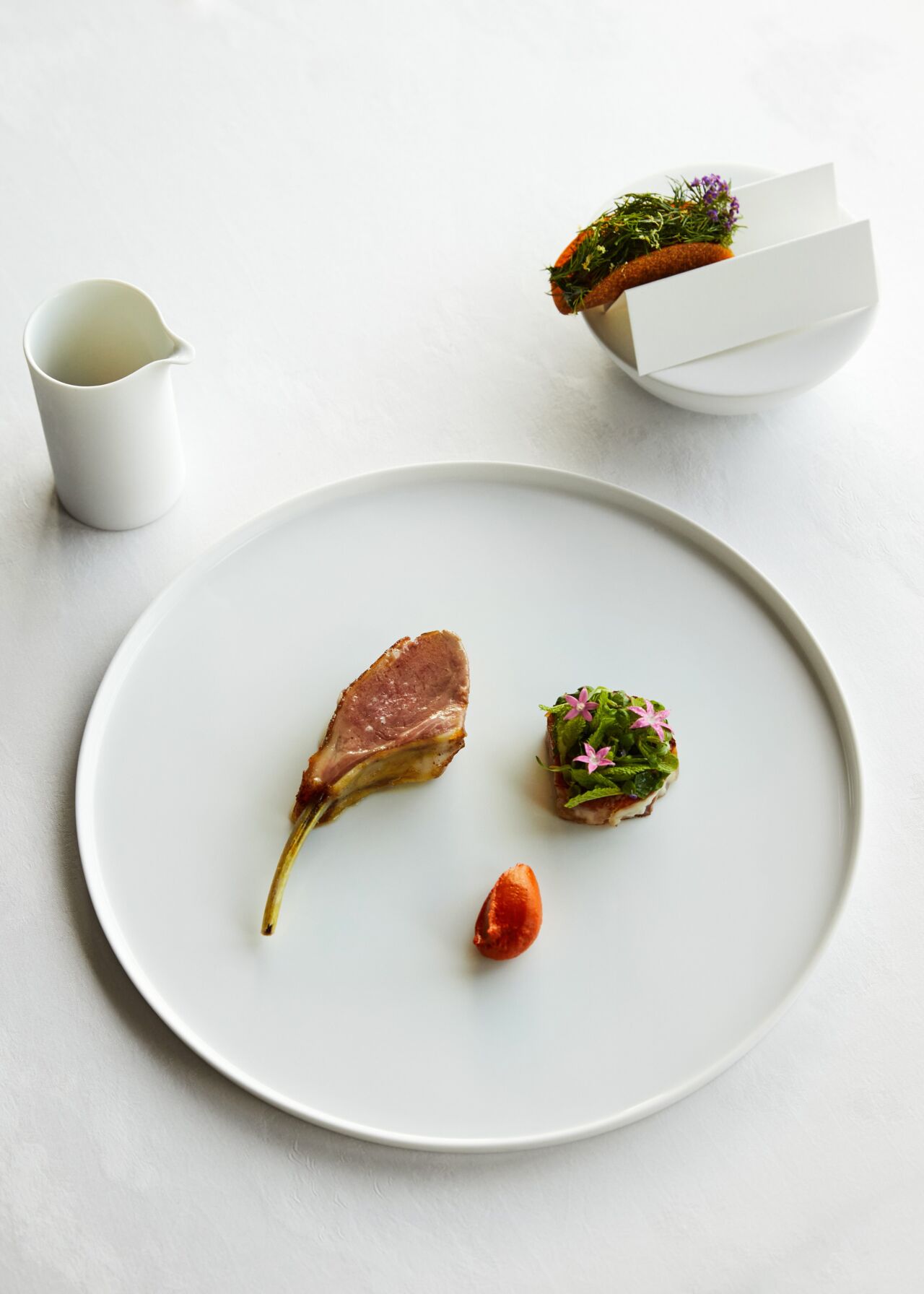 Lamb - Photographer Sam Harris