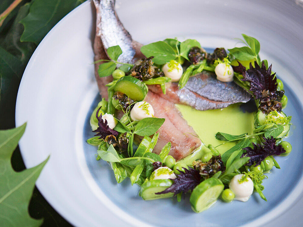 matjes-mit-erbsen-zuckerschoten-gurken-salat-und-limetten-creme-fraiche-lisa-angermann