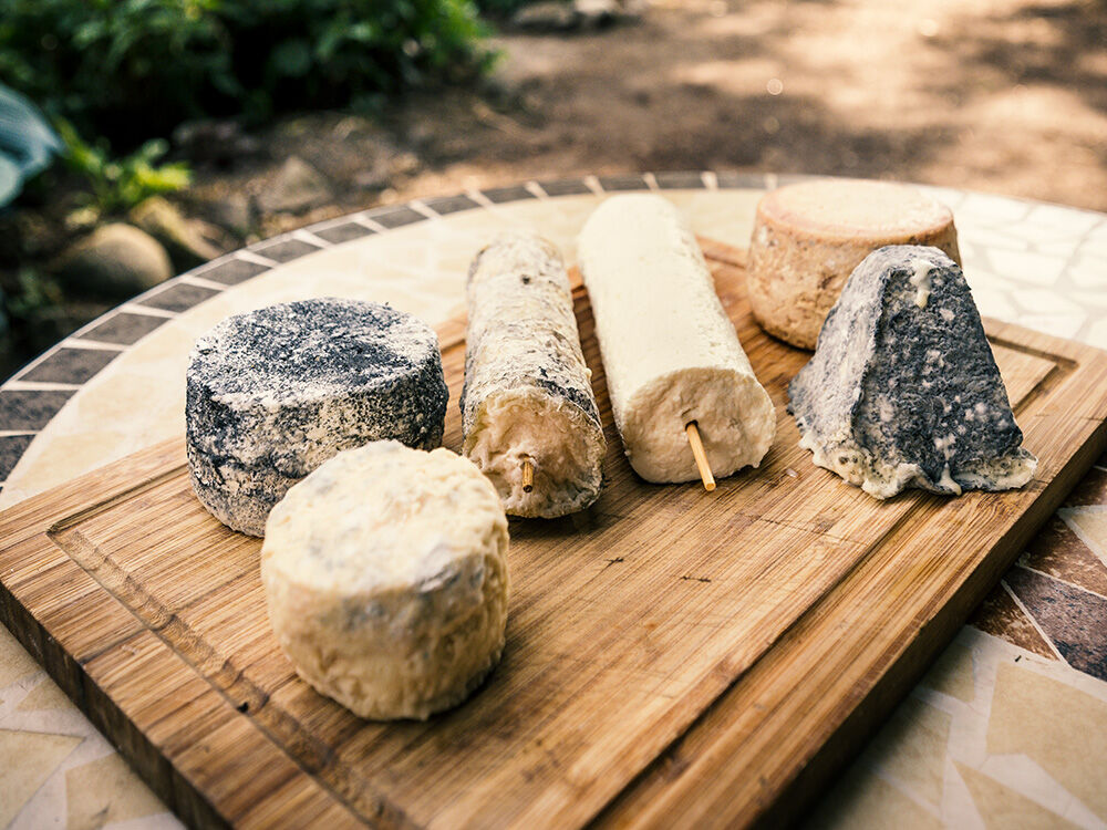 Ziegenkäse aus dem Norden