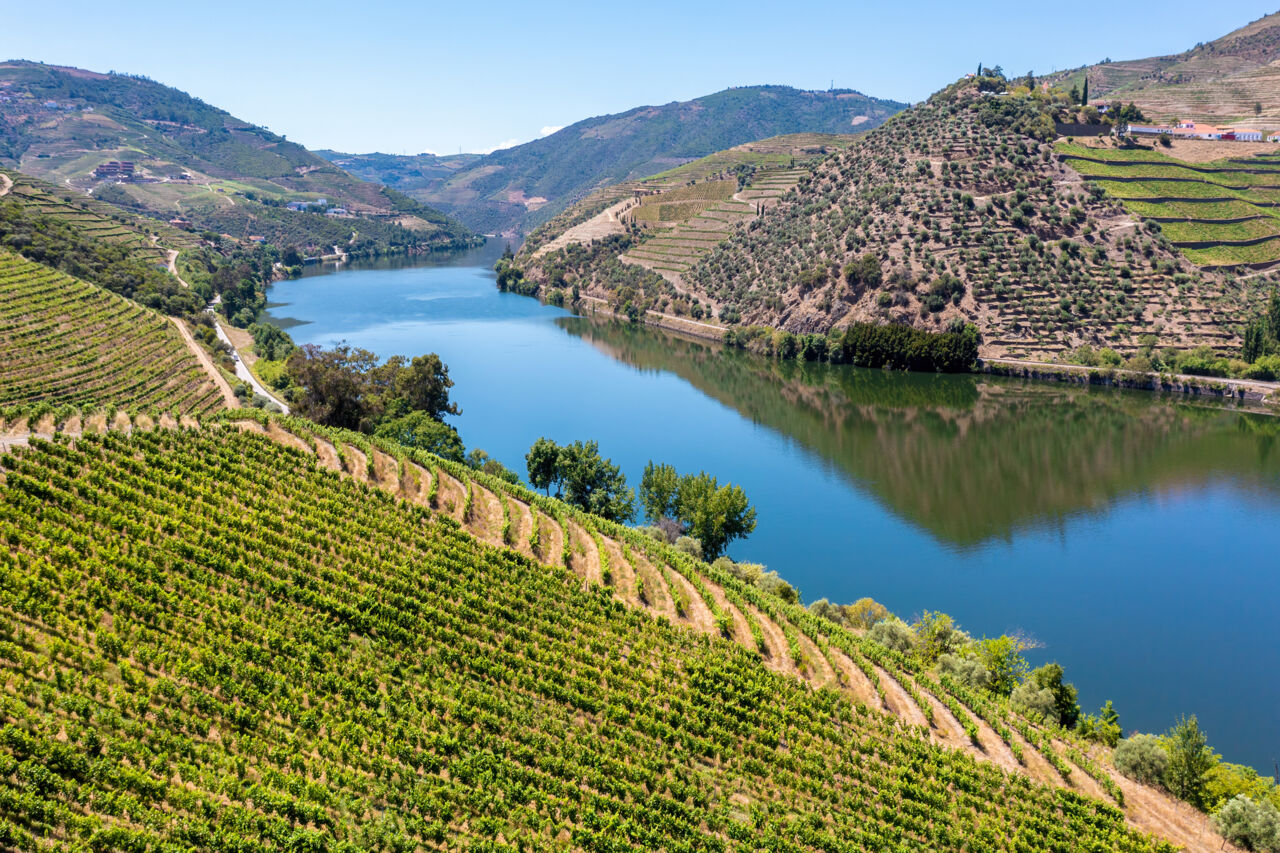 portwein-douro-tal