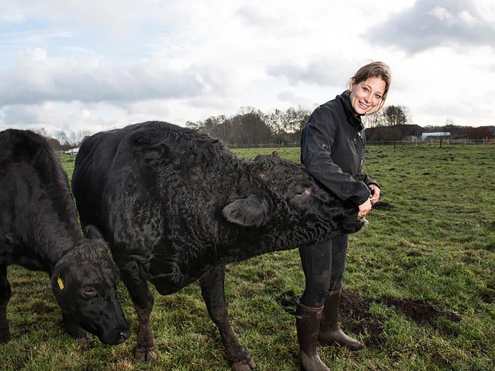 anna-butz-mit-ihren-wagyu-rindern-auf-der-weide