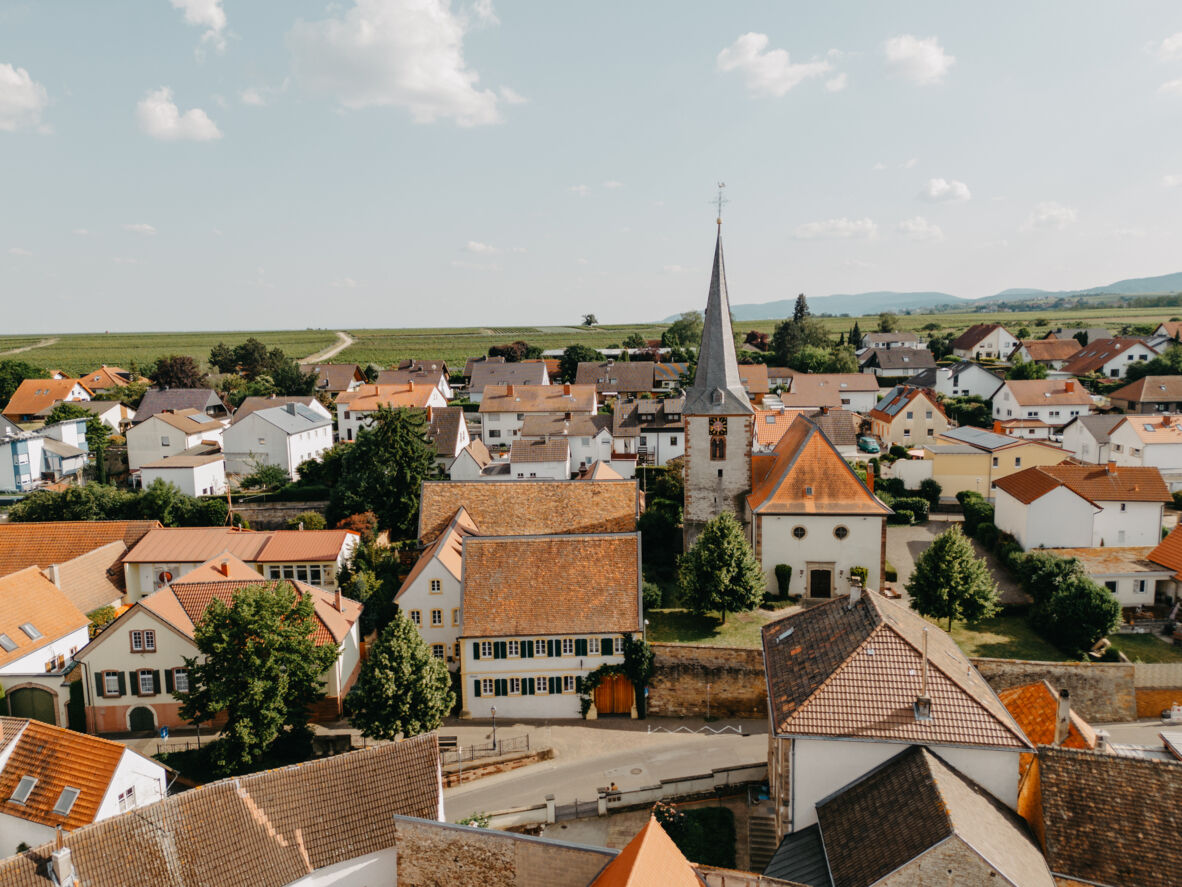 pfalz - junge-gastronomen-neue-konzepte