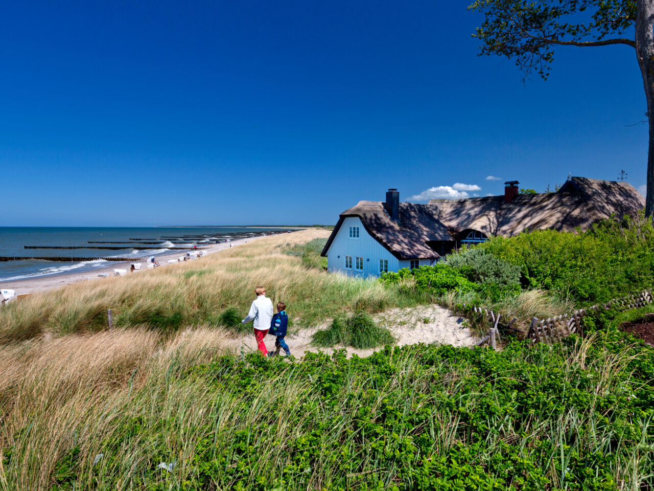 Ostsee-Mood