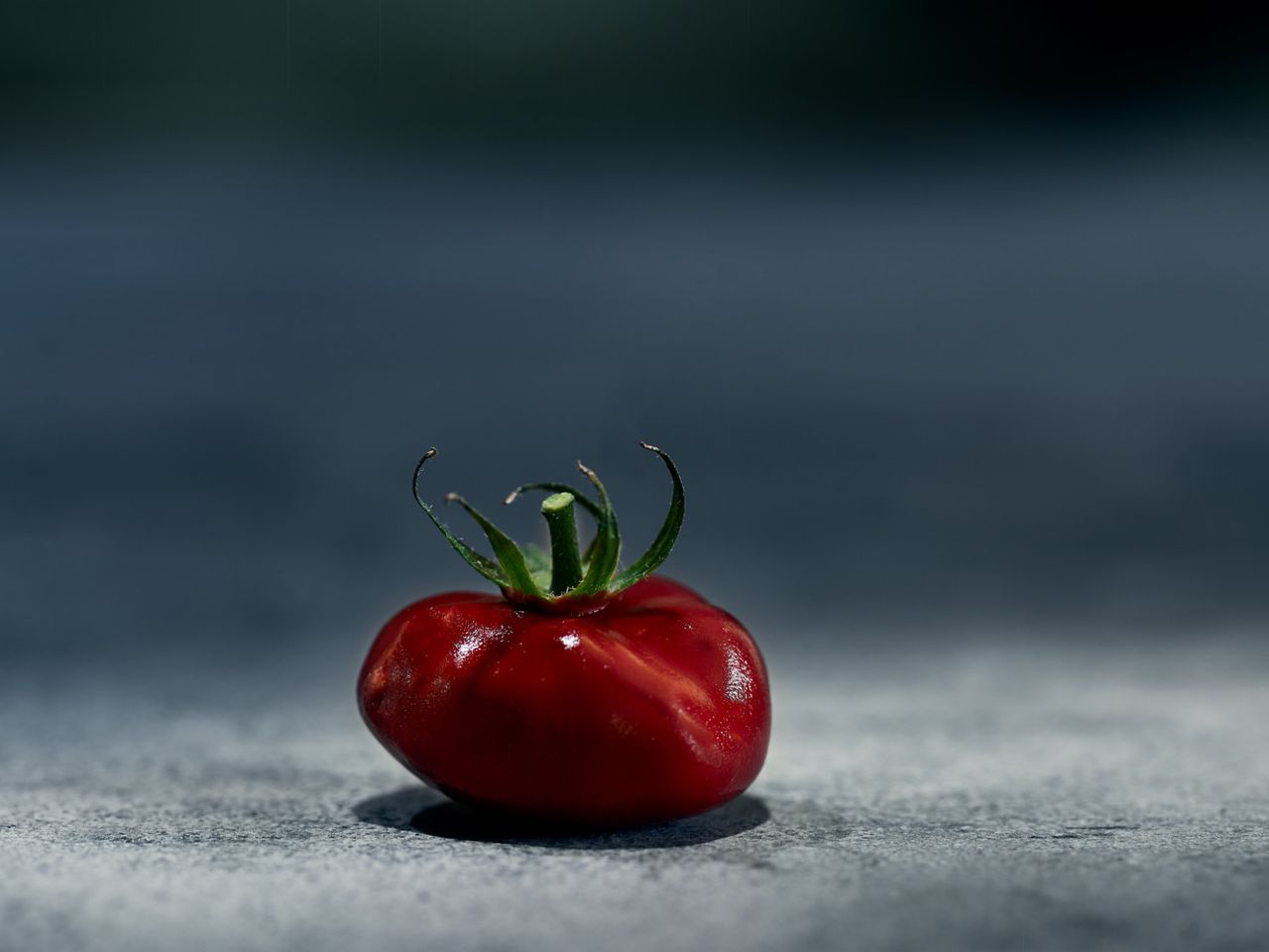 Dessert aus dem Vendôme