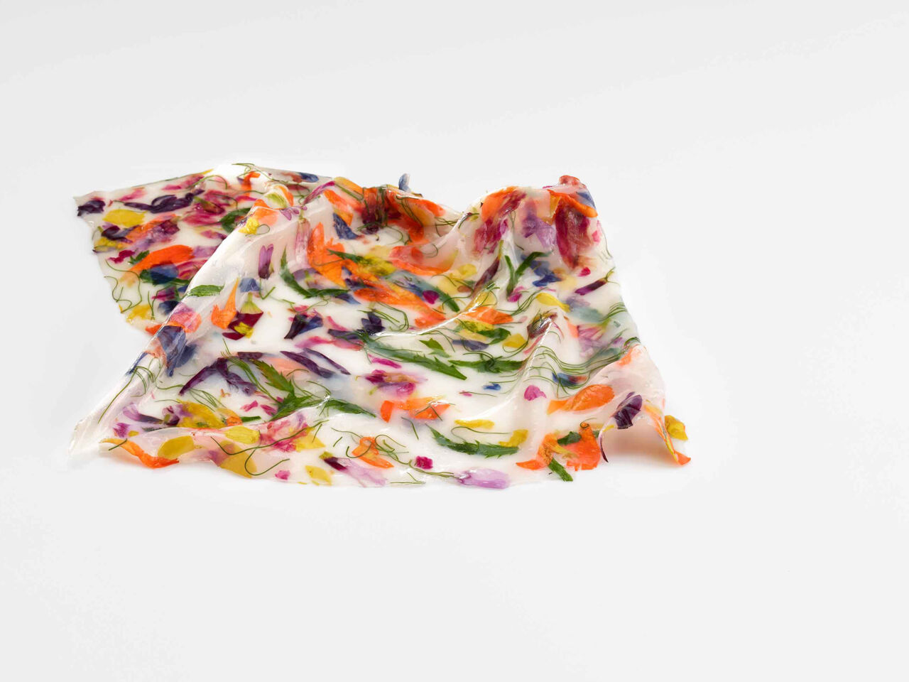 suspension-seda-de-txipiron-foto-jose-luis-lopez-de-zubiriamuga