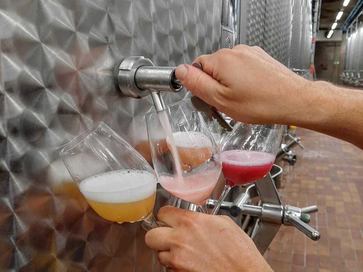 Buergerspital Weingut_Ziehen von Fassproben frischer Weiss und _preview